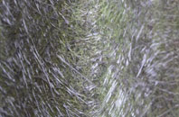 Strood Green fibreglass roof work